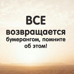 ���� Z, ������, 52 ���� - ��������� 23 ���� 2026