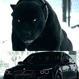 ������, ��������, 48 ���