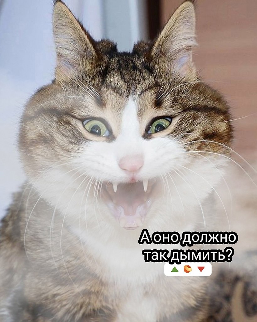 ���� - 27 ���� 2025 � 14:12 - 6