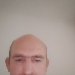 �����, 29 ���, ���������