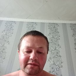 ���� ������, �������, 56 ��� - ��������� 2 ���� 2024