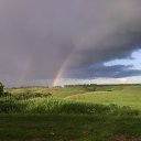 ���� ������, ������ - ��������� 19 ������� 2025