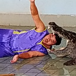 ������, ������������, 49 ���