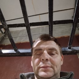 ���� ��������, ������, 44 ���� - ��������� 9 ������� 2026