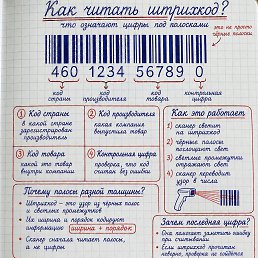 ���� Sss, ����� - ��������� 22 ���� 2026