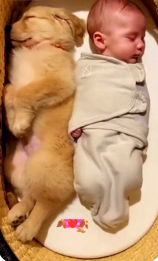 ПОДКИДЫШ.- Опять бомжи заняли все скамейки, - недовольно проворчала женщина и подхватив за руку ...