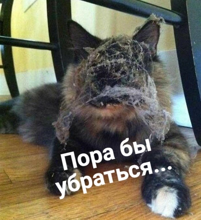 ��� ���� � ����� �� �� - 11 ��� 2026 � 16:55 - 4