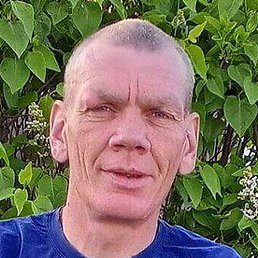 �����, ������, 36 ���