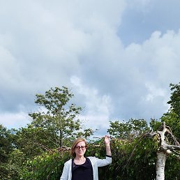 �������, �����������, 53 ����