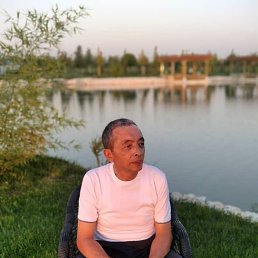 , 61, 