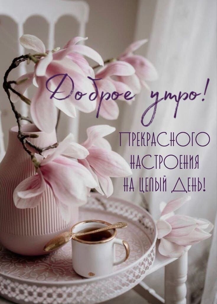 ***Victoria Viktorovna*** - 25  2025  03:12