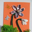 ���� Svetlozar, �����, 45 ��� - ��������� 1 ������� 2025 � ������ ����� �� ����