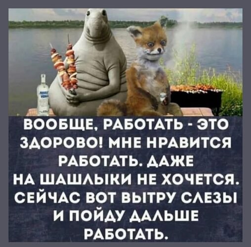   ! - 29  2025  20:59