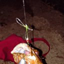 ���� �������, ������, 70 ��� - ��������� 22 ���� 2025 � ������ ���� ����������