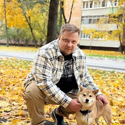 �����, 36 ���, �������