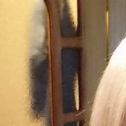 �����, 42 ����, ����-���
