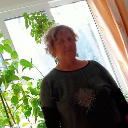 �������, �����������, 66 ���