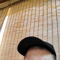 , 33, 