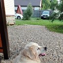 ���� �����, ������, 40 ��� - ��������� 12 ���� 2026