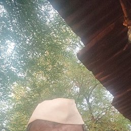 Santu, ����, 25 ���