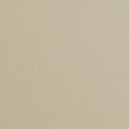 Shakir, 40 ���, �����-���������