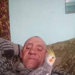 ��������, 49 ���, ���������