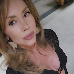 ���� ����, ������, 48 ��� - ��������� 4 ���� 2026