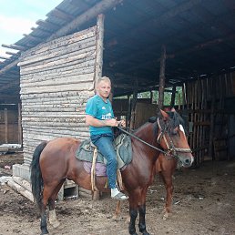 ���� �������, �����, 40 ��� - ��������� 2 ����� 2026