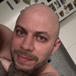 ������, 36 ���, ���������