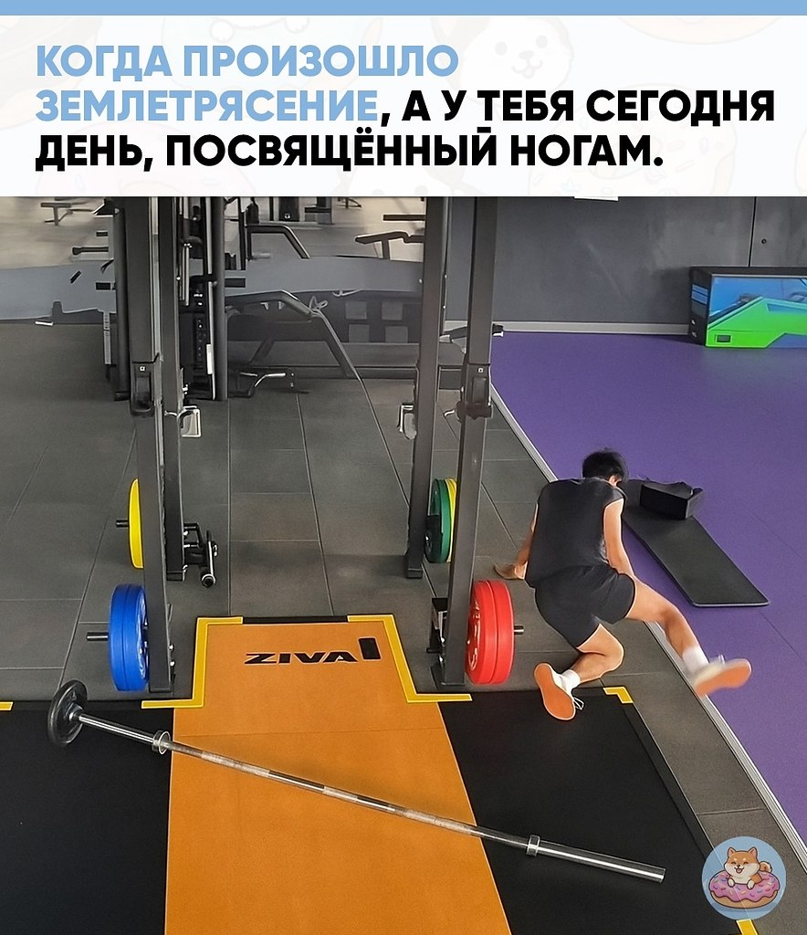 ������������� � ��������� � ����� ���������� ������������ �������� ��������. ������ �������� ...