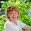 ���� ���� ( ����� ) 150 ��, �������, 52 ���� - ��������� 20 ������ 2025 � ������ ���� ����������