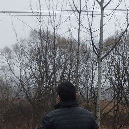 ���� ������, ������, 37 ��� - ��������� 26 ������ 2023