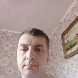 , 37, 