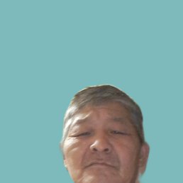 , 52, 