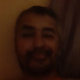 �����, ������, 65 ���