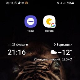 ���, ������, 61 ���