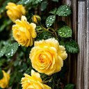 ���� ������� ))))))))), ���������, 62 ���� - ��������� 18 �������� 2025 � ������ ���� ����������