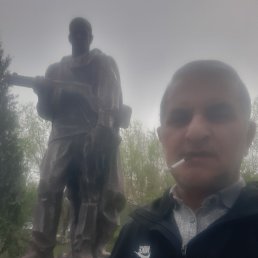 �����, 55 ���, ���������