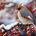 ���� �����, ����, 40 ��� - ��������� 3 ������� 2024 � ������ ����� 2024 (3.12.2024 // 0:49)�