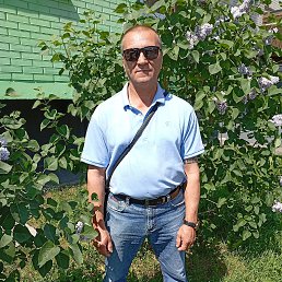 , 52 , 
