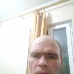 , 44, 