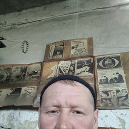 , 39, 