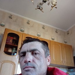 , 41, 