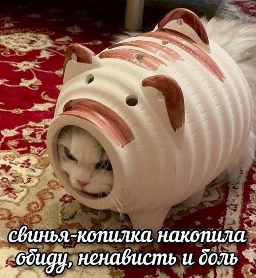   - 27  2024  06:31