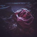 ���� �������, ������-��-����, 58 ��� - ��������� 9 ������ 2026 � ������ ���� ����������