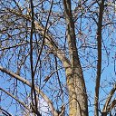 ���� �, ����� - ��������� 25 ������ 2025 � ������ ���� ����������