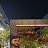 ���� Keshav, �����������, 22 ���� - ��������� 10 ��� 2026