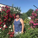 ���� ������, ������, 62 ���� - ��������� 27 ������� 2025 � ������ ���� ����������