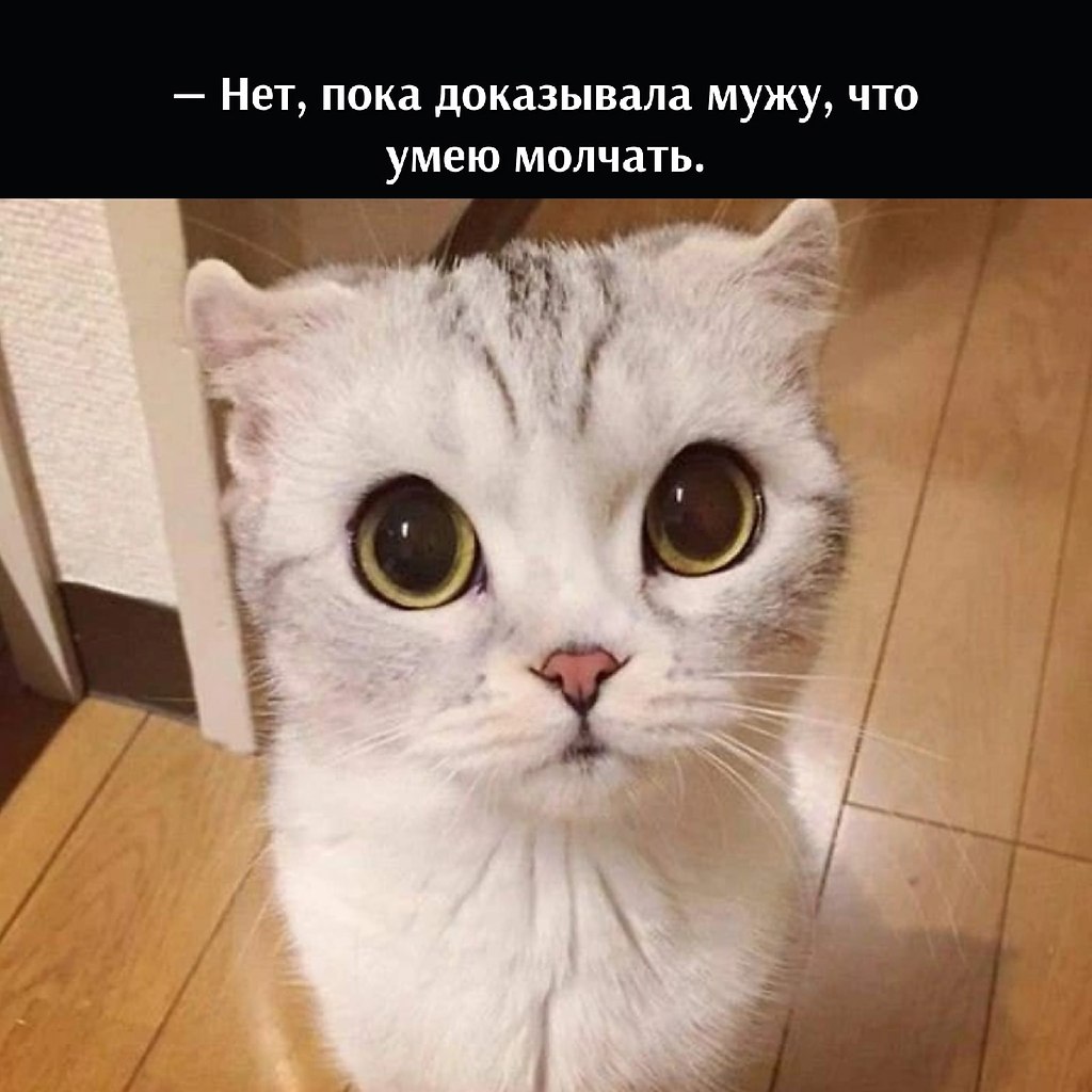       - 5  2025  21:38 - 3