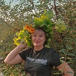 �������, �������, 50 ���